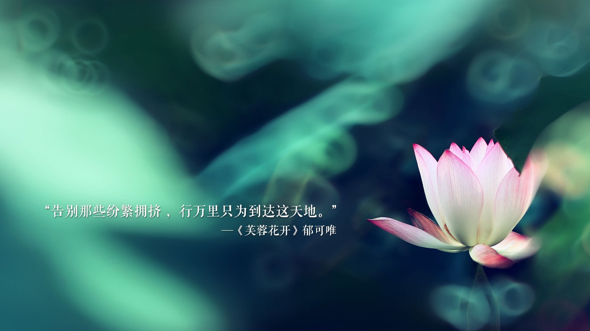 复合材料都包括什么(复合材料都包括什么材料)